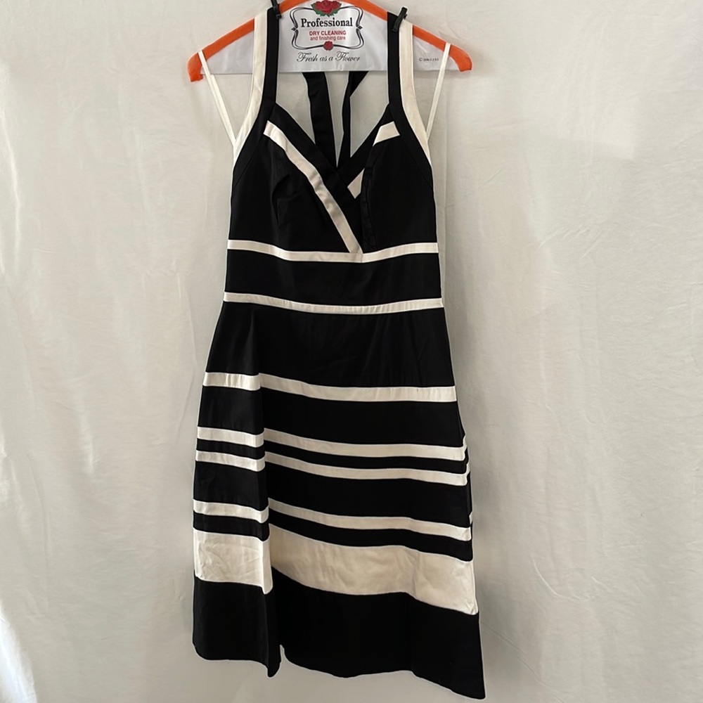 Black and white stripe dress
